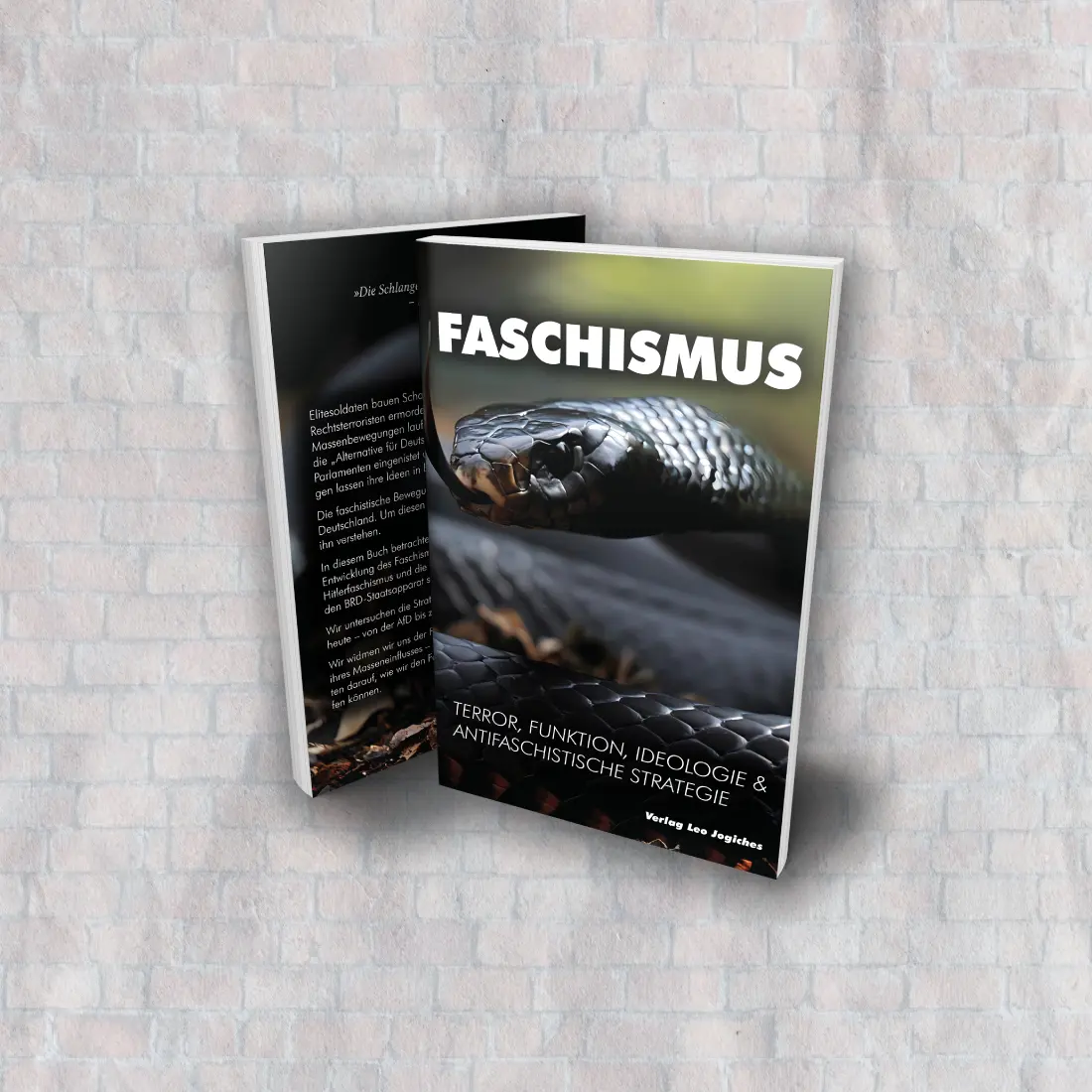 Buch: Faschismus - Terror, Funktion, Ideologie & antifaschistische Strategie
